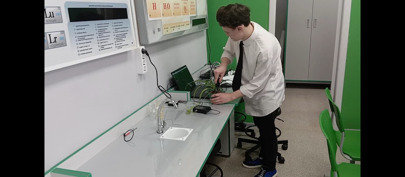Итоги исследовательских работ.